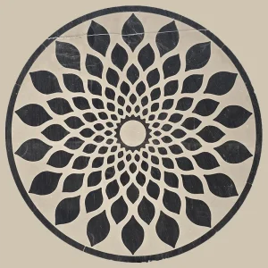 معرق سنگ کف آسانسور و سالن(گل سنگ کف)